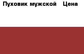 Пуховик мужской › Цена ­ 4 500 - Московская обл. Одежда, обувь и аксессуары » Мужская одежда и обувь   . Московская обл.